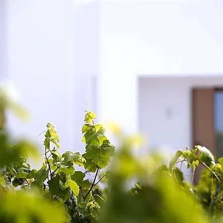 Calma Residences アパートホテル *